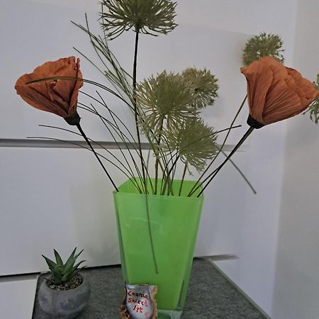 Chania Sweet Apts 外观 照片